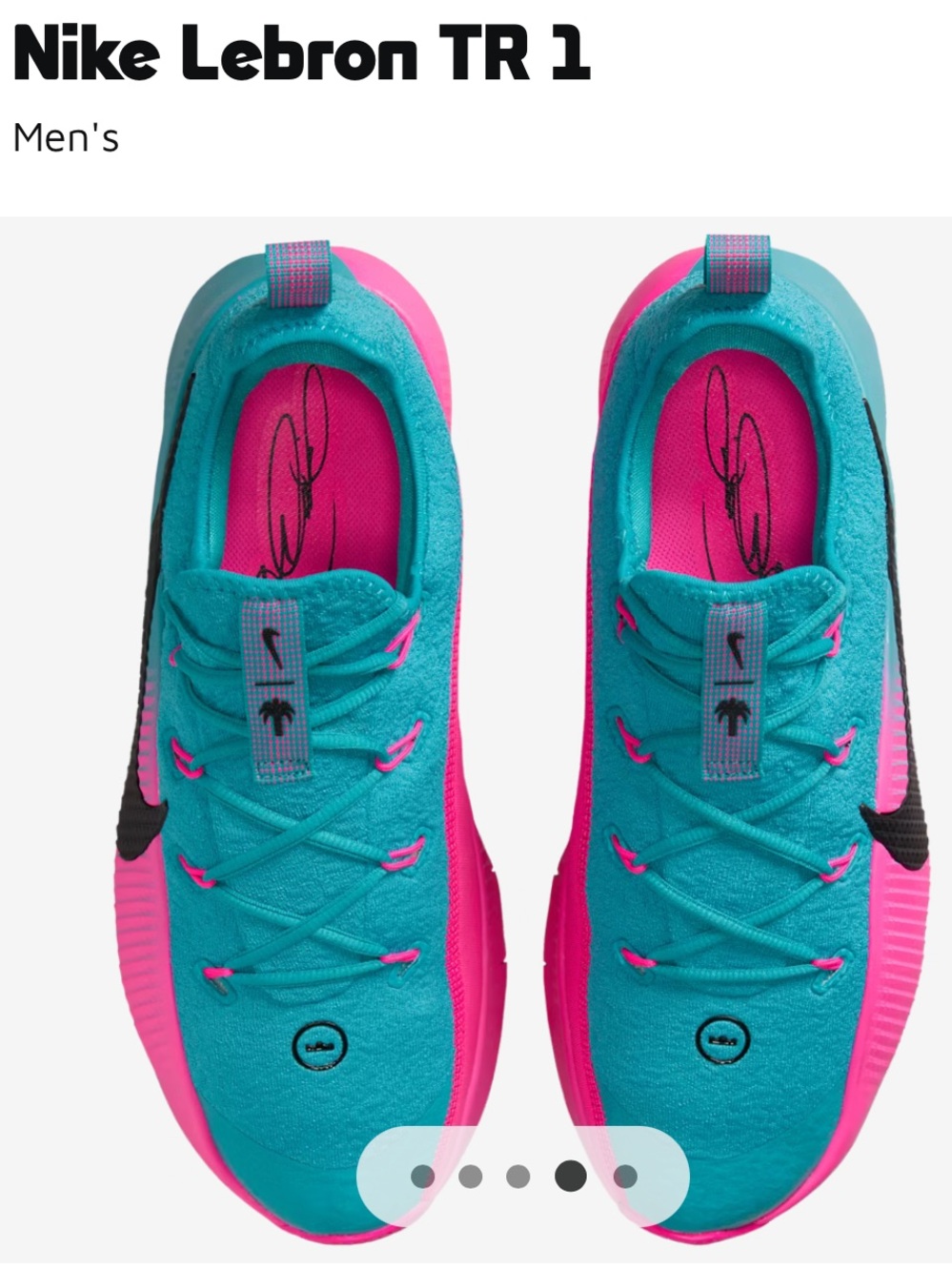 Nike LeBron TR 1 “South Beach “ Men's Teal and Pink Sneakers